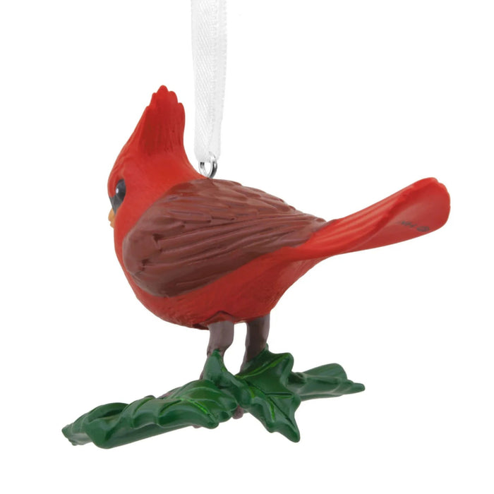 Hallmark Cardinal Bird ornament featuring a detailed red cardinal design for Christmas décor