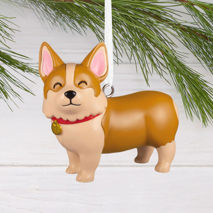 Hallmark Cute Corgi Christmas Ornament, Adorable Corgi Dog with Big Ears, Dog Lover and Pet-Themed Christmas Tree Decoration