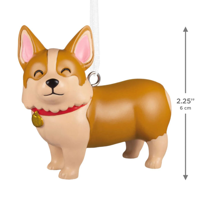 Hallmark Cute Corgi Christmas Ornament, Adorable Corgi Dog with Big Ears, Dog Lover and Pet-Themed Christmas Tree Decoration