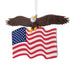 Hallmark Bald Eagle With American Flag Christmas Ornament, Patriotic Resin Eagle Tree Decoration for Veterans and Military Families