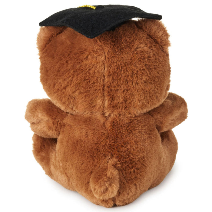 Brown Bear in Grad Cap Plush