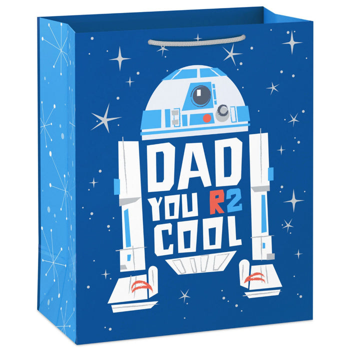 Cool Large Father's Day Gift Bag
