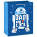Cool Large Father's Day Gift Bag