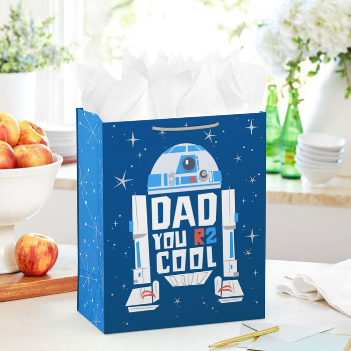 Cool Large Father's Day Gift Bag
