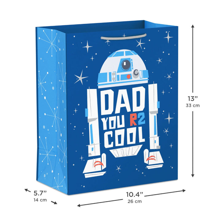Cool Large Father's Day Gift Bag