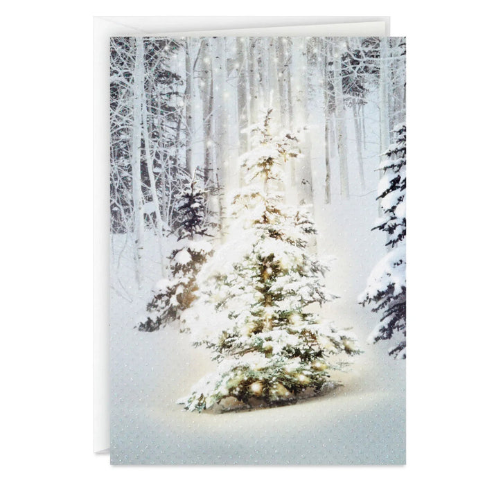Hallmark Snowy Pine Tree Blessings Everywhere boxed Christmas cards featuring snowy pine trees and a holiday blessings message, pack of 16