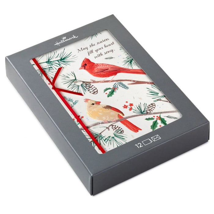 Hallmark Cardinals on Pine Branches boxed Christmas cards featuring red cardinals among evergreen branches, pack of 12