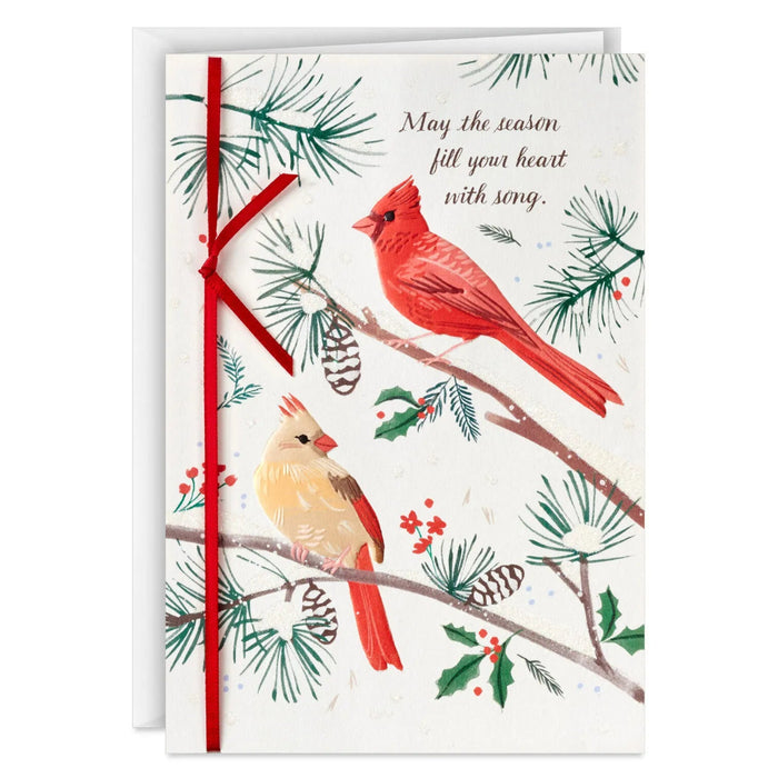Hallmark Cardinals on Pine Branches boxed Christmas cards featuring red cardinals among evergreen branches, pack of 12