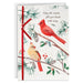 Hallmark Cardinals on Pine Branches boxed Christmas cards featuring red cardinals among evergreen branches, pack of 12