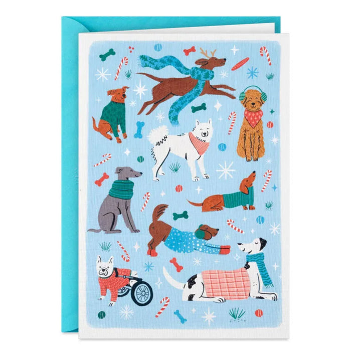 Hallmark Festive Dogs on Blue packaged Christmas cards featuring festive dogs on a blue background, set of 5