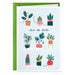Hallmark Holiday Trimmed Plants packaged Christmas cards set of 5 featuring festive plant and greenery artwork