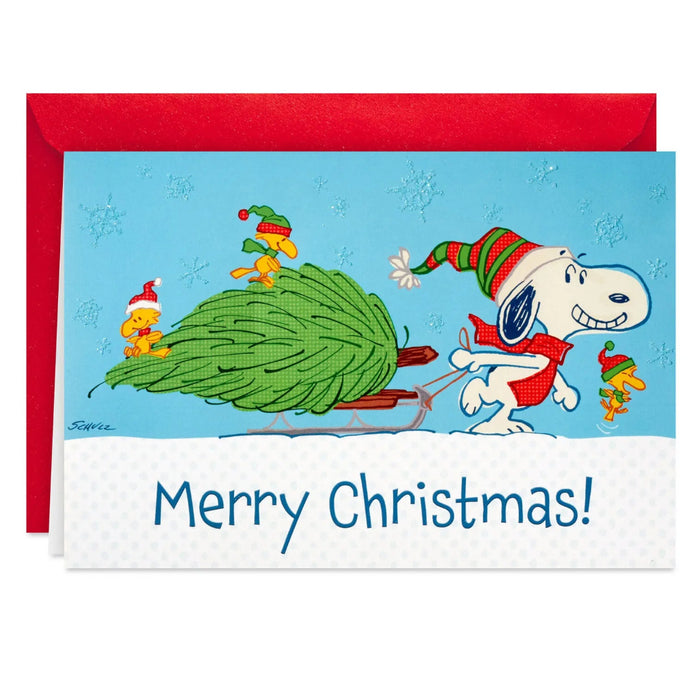 Hallmark Peanuts Snoopy Hauling the Tree boxed Christmas cards, pack of 16, featuring Snoopy and a festive Christmas tree.