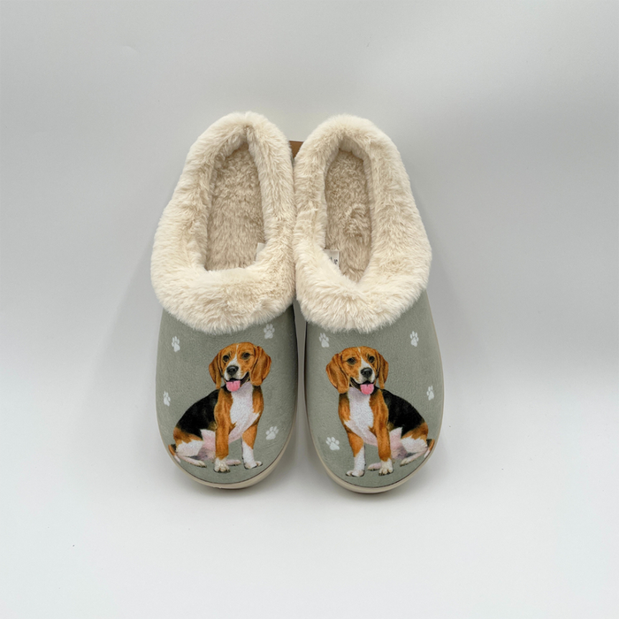 Snuggs : Beagle Slippers