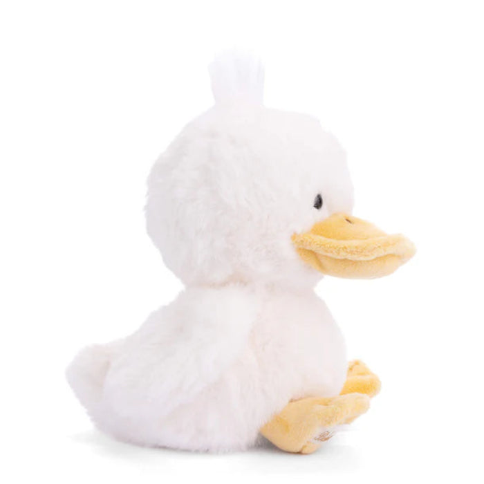 Baby Quack is ready to waddle his way into your heart and home.