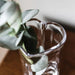 A simple vase filled with water, featuring a thriving plant growing within.