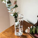 A transparent vase containing water and a lively green plant, enhancing the decor.