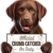 Labrador Chocolate Chipclip