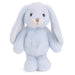 Meet Jumpy Bunny—the long‑eared sweetheart that brings a sprinkle of spring to every cuddle.