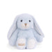 Meet Jumpy Bunny—the long‑eared sweetheart that brings a sprinkle of spring to every cuddle.