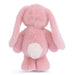Meet Jumpy Bunny—the long‑eared sweetheart that brings a sprinkle of spring to every cuddle.