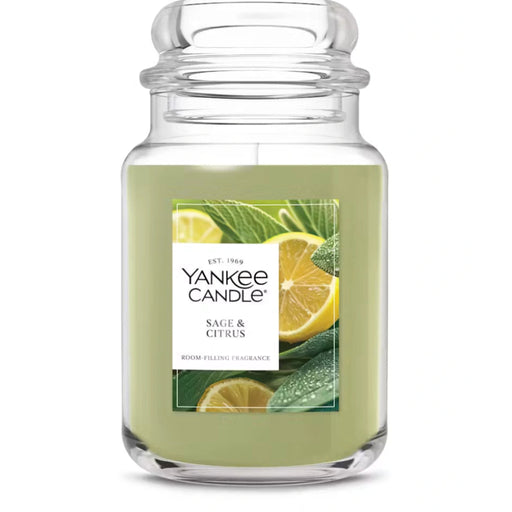 This uplifting scent blends the clean herbal notes of fresh sage with the bright, zesty aroma of citrus, creating a balanced fragrance that feels both energizing and calming.