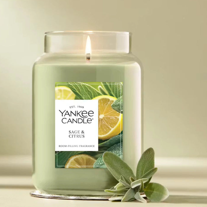 This uplifting scent blends the clean herbal notes of fresh sage with the bright, zesty aroma of citrus, creating a balanced fragrance that feels both energizing and calming.