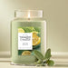 This uplifting scent blends the clean herbal notes of fresh sage with the bright, zesty aroma of citrus, creating a balanced fragrance that feels both energizing and calming.