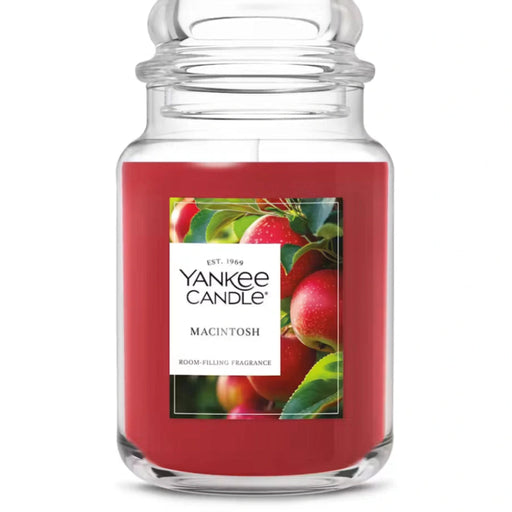 this refreshing fragrance delivers a bright, fruity aroma that feels fresh, clean, and inviting.
