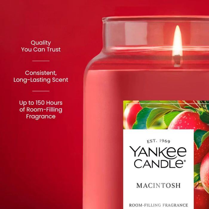 this refreshing fragrance delivers a bright, fruity aroma that feels fresh, clean, and inviting.