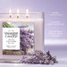 They're the perfect size for gifting and still provide up to 40 hours of room-filling fragrance.
