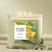 This invigorating scent combines the crisp herbal notes of fresh sage with the bright zest of citrus fruits