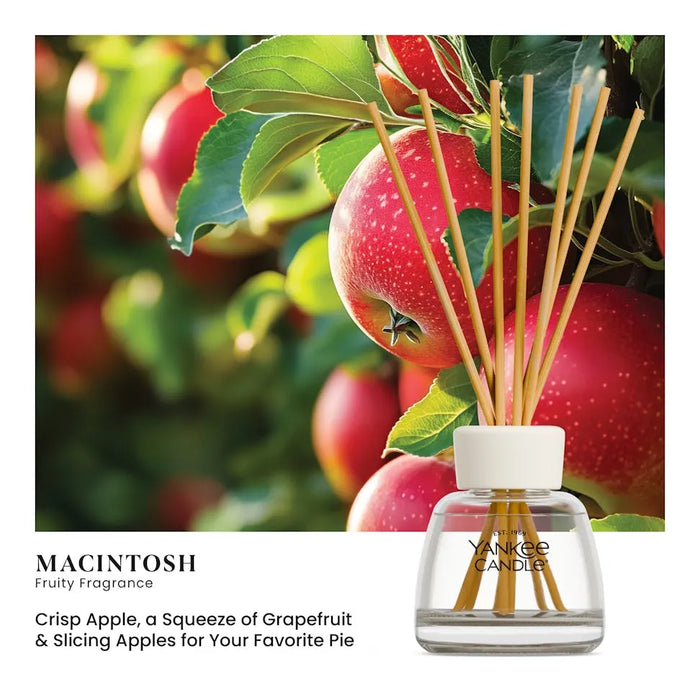 Yankee Candle Macintosh fruity reed diffuser with a clear glass bottle, white cap, and natural reed sticks, shown against a background of red apples on a tree with text below.