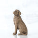 Bronze statue of a dog on a white background