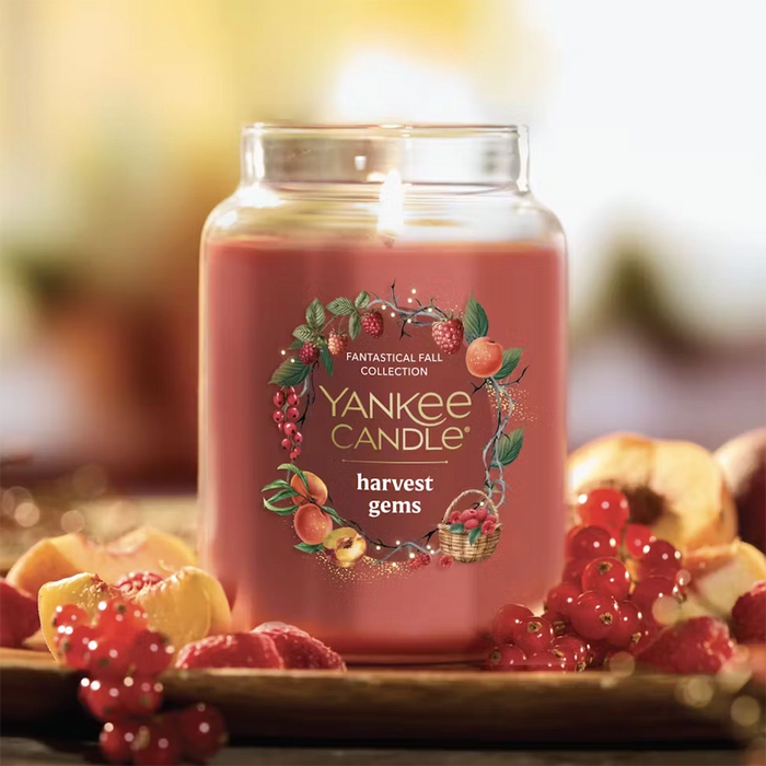 Yankee Candle : Harvest Gems - Original Jar Candle