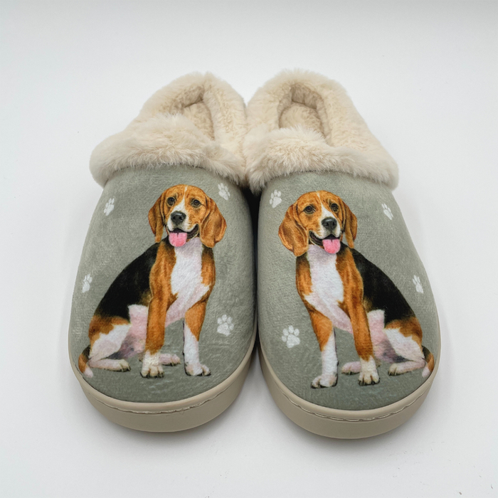 Snuggs : Beagle Slippers