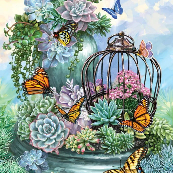Illustration of a garden scene with succulents, flowers, and butterflies.