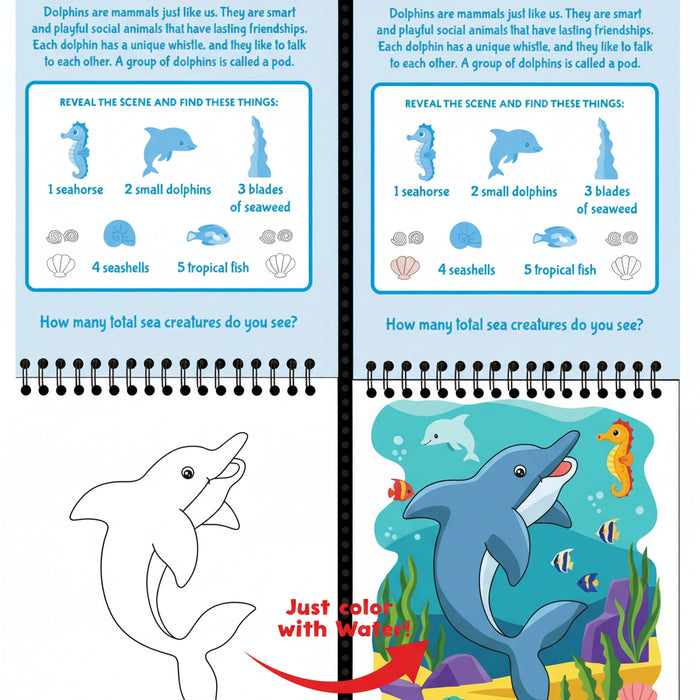 Peter Pauper Press Color With Water Under the Sea reusable water art activity set with sea life scenes and water pen