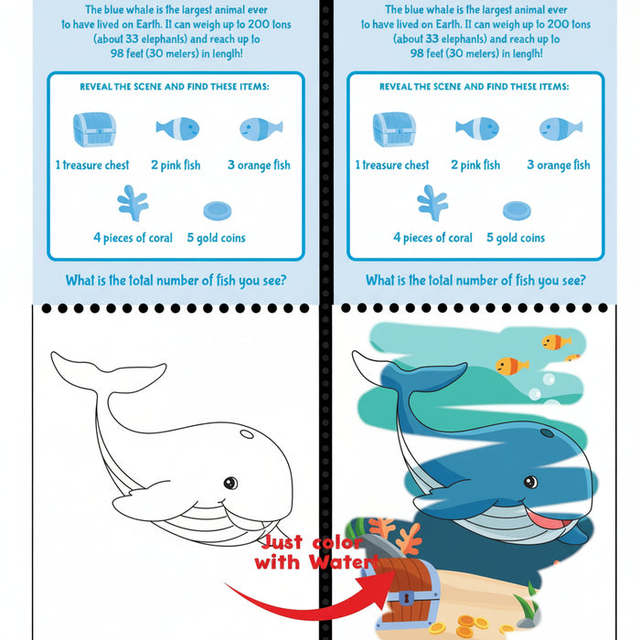 Peter Pauper Press Color With Water Under the Sea reusable water art activity set with sea life scenes and water pen