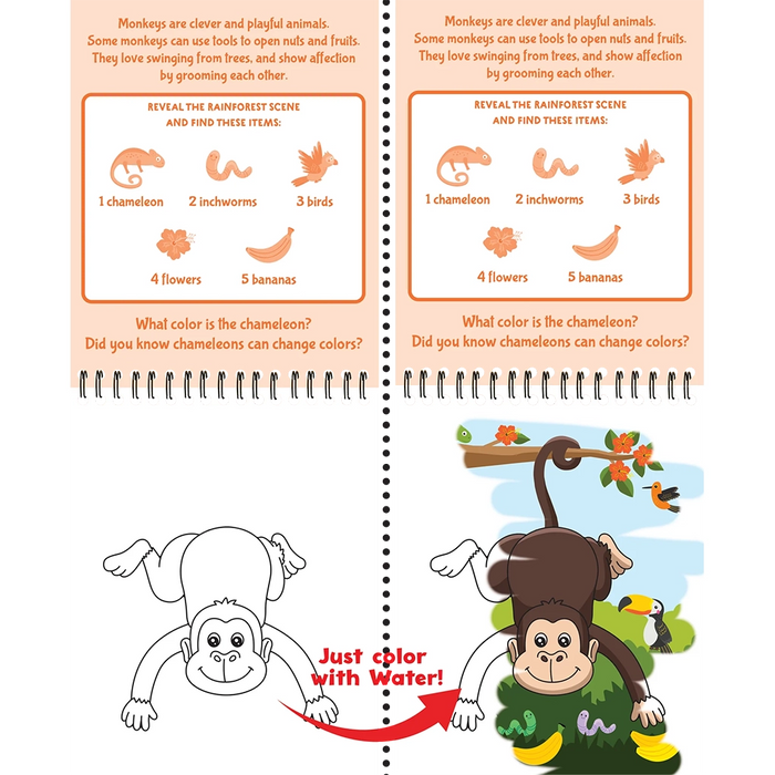 Educational children's book page with monkey-themed activities and coloring.