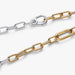 Mixed-metal Pandora Two-Tone Link Chain Necklace featuring two openable links and a carabiner clasp.