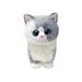 A stuffed cat with large eyes sits against a black background, showcasing its soft fur and playful expression.