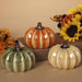 3.75" Pearlized Harvest Ceramic Pumpkin - Assorted 1 at random - 3.75" Pearlized Harvest Ceramic Pumpkin - Assorted 1 at random