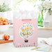 Hallmark : 13" Bunny in Hot Air Balloon Baby Girl Large Gift Bag