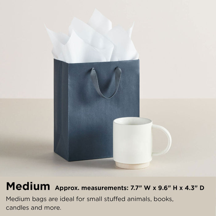 Hallmark : 9.6" You Are the Best Medium Gift Bag