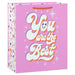 Hallmark : 9.6" You Are the Best Medium Gift Bag