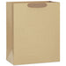 13" Kraft Paper Large Gift Bag