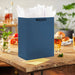 Hallmark 13-inch navy blue large gift bag with solid color matte finish for birthdays and special occasions