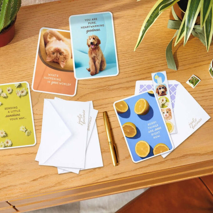 Collection of greeting cards and stationery items on a wooden surface with plants in the background.