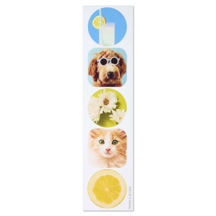 Hallmark : Dog and Cat Just Because Cards Pack With Stickers