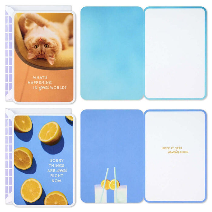 Set of four cards with different designs (cat and lemons) and text on a white background